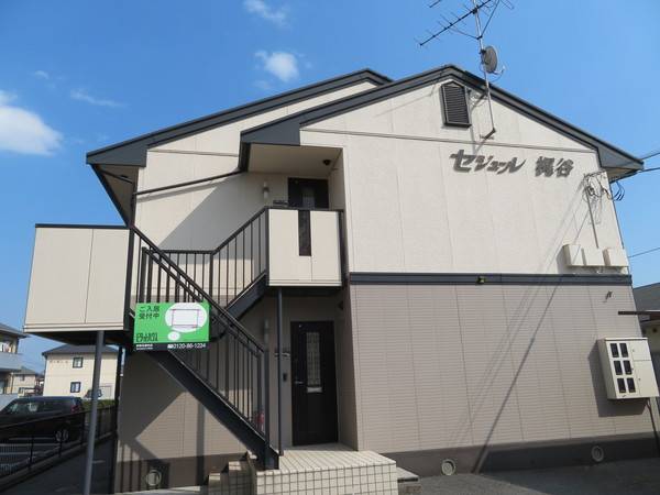 セジュール梶谷の賃貸情報 茶屋町駅 スマイティ 建物番号
