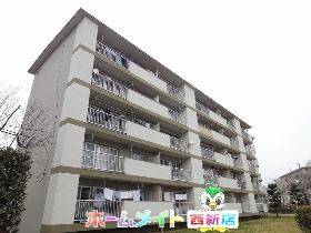 ｕｒ都市機構室住団地５６棟の賃貸情報 室見駅 スマイティ 建物番号