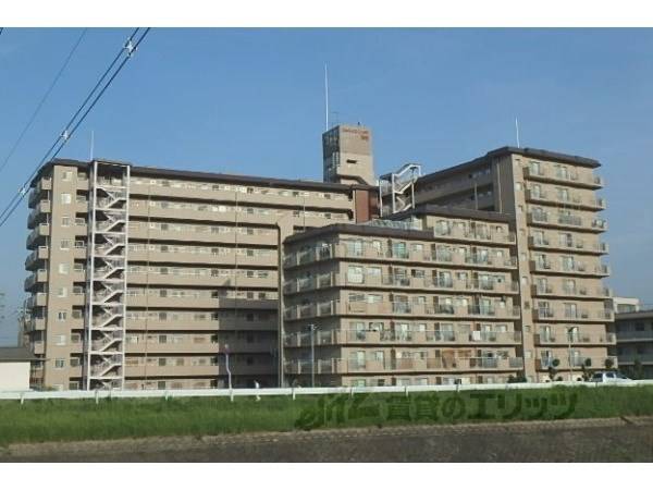 シャルマンコーポ神足810号室の賃貸情報 長岡京駅 スマイティ 建物番号