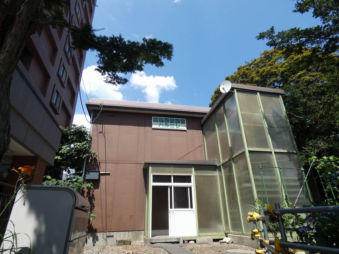 シティハイムハルニレの賃貸情報 円山公園駅 スマイティ 建物番号
