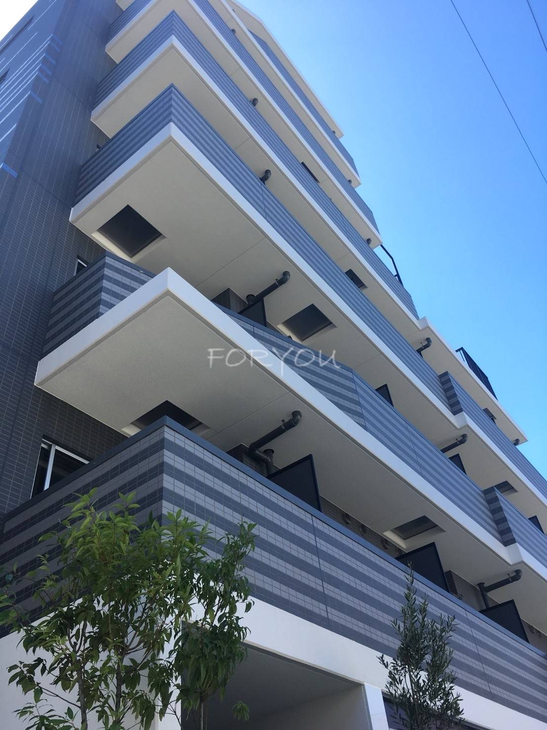 Axas武蔵小山アジールコート の賃貸情報 武蔵小山駅 スマイティ 建物番号 7988390