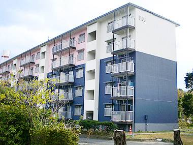 リノベーション 浅川団地10棟の賃貸情報 折尾駅 スマイティ 建物番号